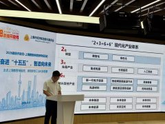 “十五五”工业增加值占比保持20%以上——上海