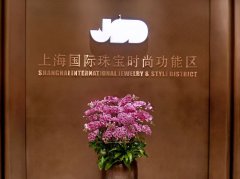 上海国际珠宝时尚功能区JSD SPACE正式对外