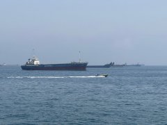 霍尔木兹海峡通航量降至5月来最低